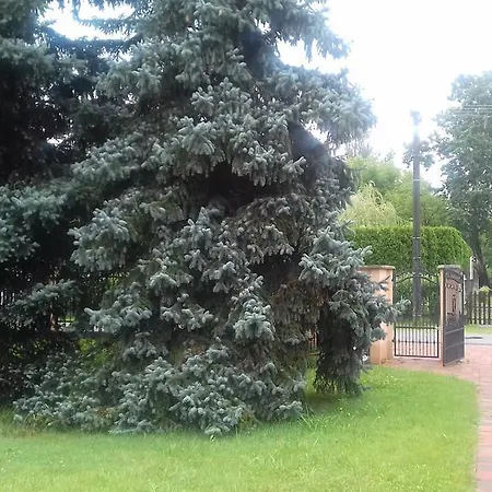 Nemeth Apartment Szantod