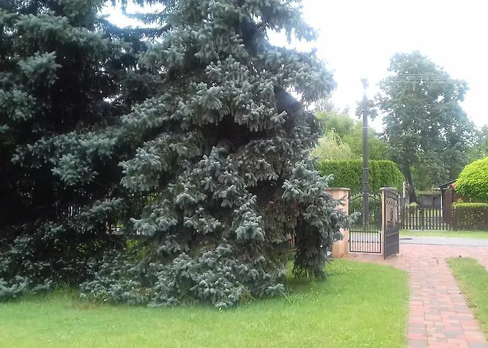 Nemeth Apartmán Szántód